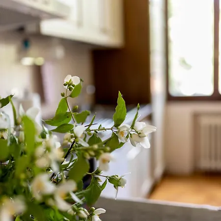 Appartamento D'artiste Parma