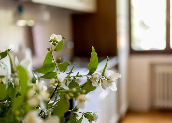 شقة D'artiste بارما